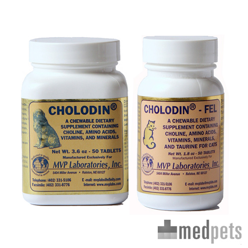 Cholodin is een aanvullend diervoeder voor honden en katten met verouderingsverschijnselen