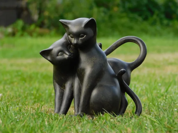 Spelende Katten zwart en bruin