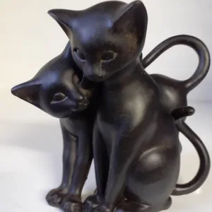 Zwarte verliefde katjes