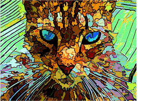 De Enigmatische Kat