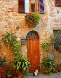 Danita de Limont A cat seeks entrance to home in Pienza, Italy